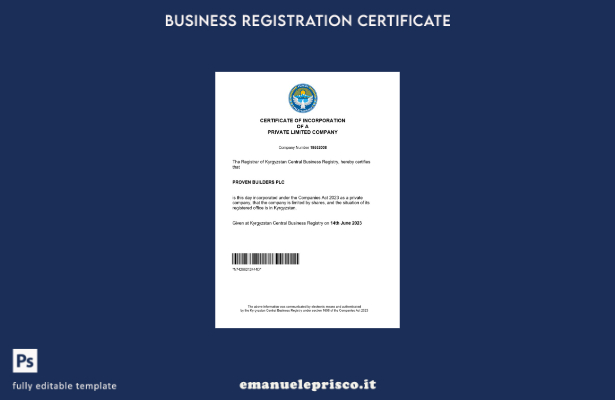 stile verificato Certificato di registrazione aziendale del Kirghizistan Modello